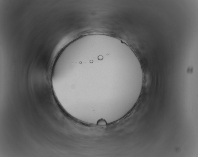 X0000094910004200712131503
