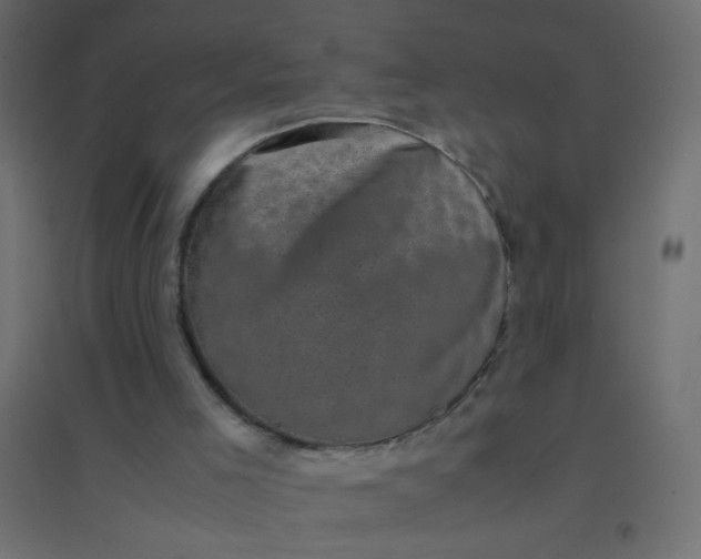 X0000094910005200712131503