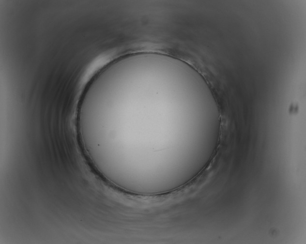 X0000094910006200712131503