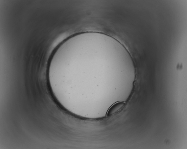 X0000094910008200712131503