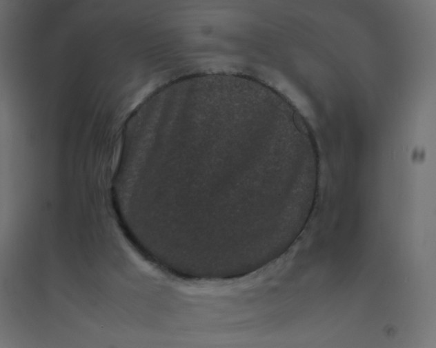 X0000094910009200712131503