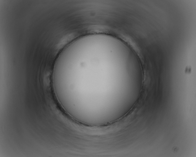 X0000094910010200712131503