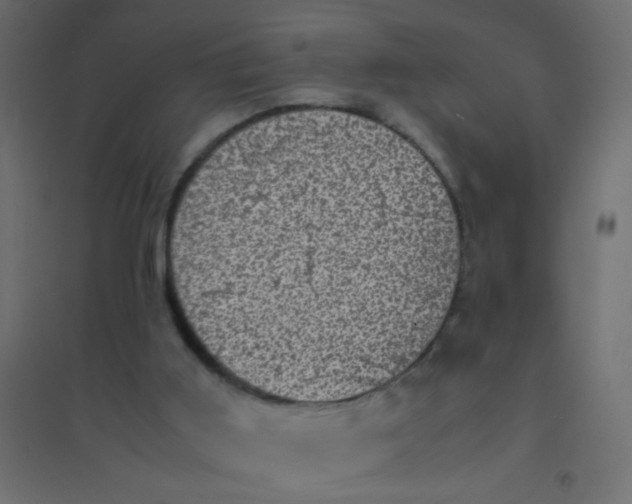 X0000094910011200712131503