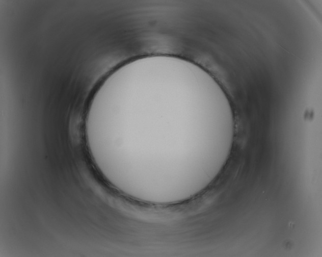 X0000094910012200712131503
