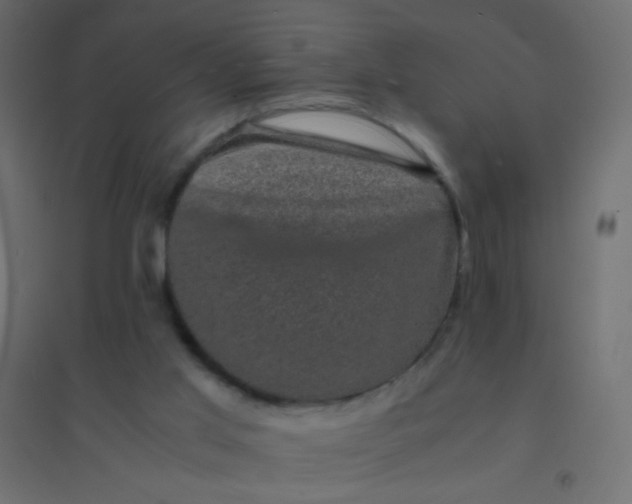 X0000094910013200712131503