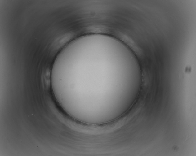 X0000094910014200712131503