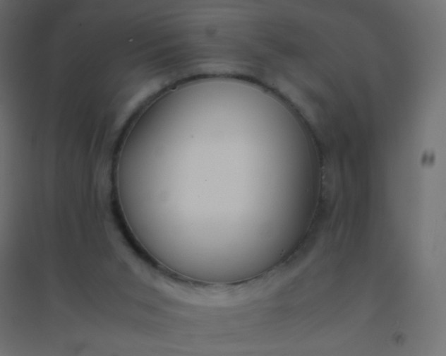 X0000094910015200712131503