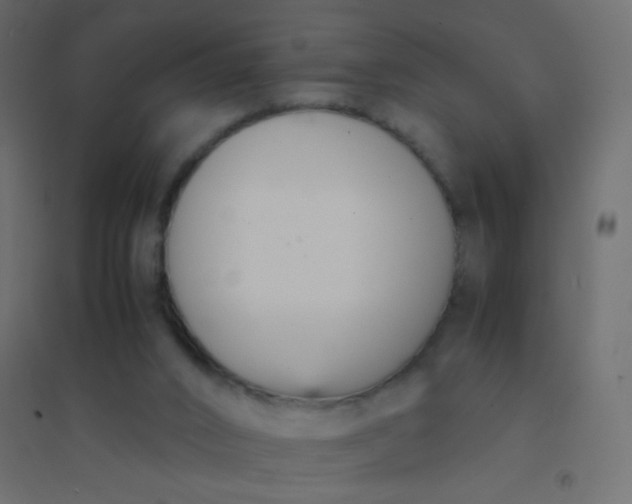 X0000094910016200712131503
