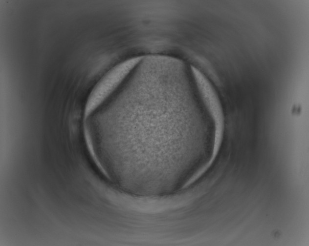 X0000094910018200712131503