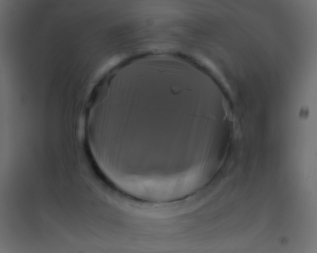 X0000094910019200712131503