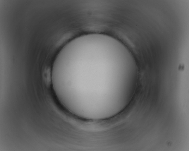 X0000094910020200712131502