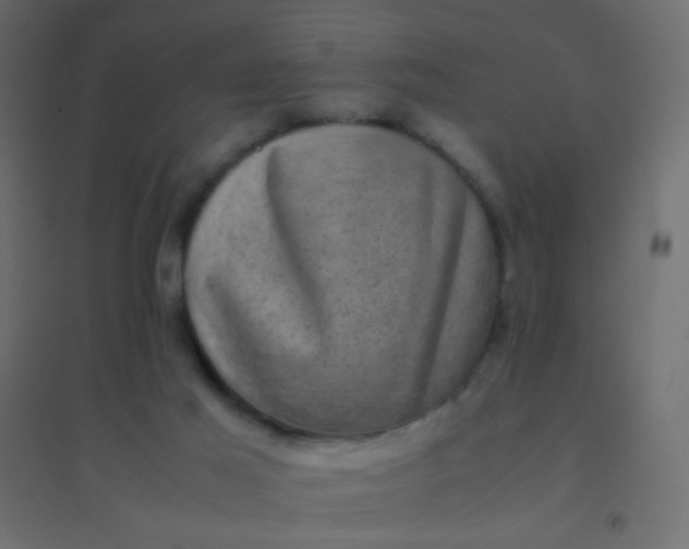 X0000094910021200712131502