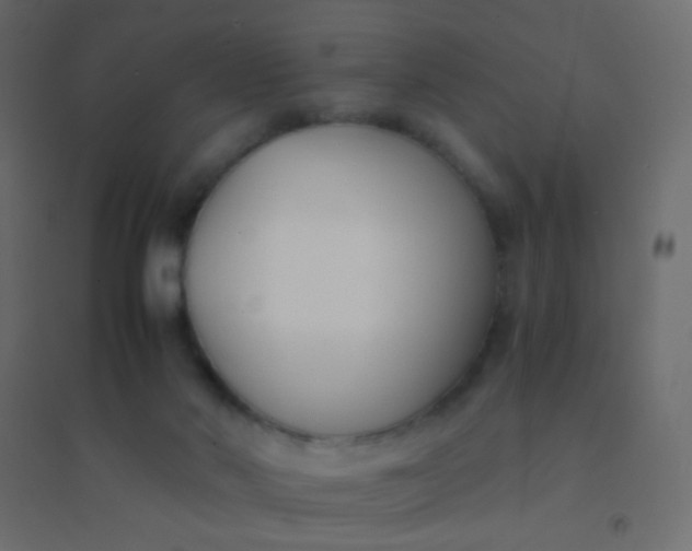 X0000094910022200712131502