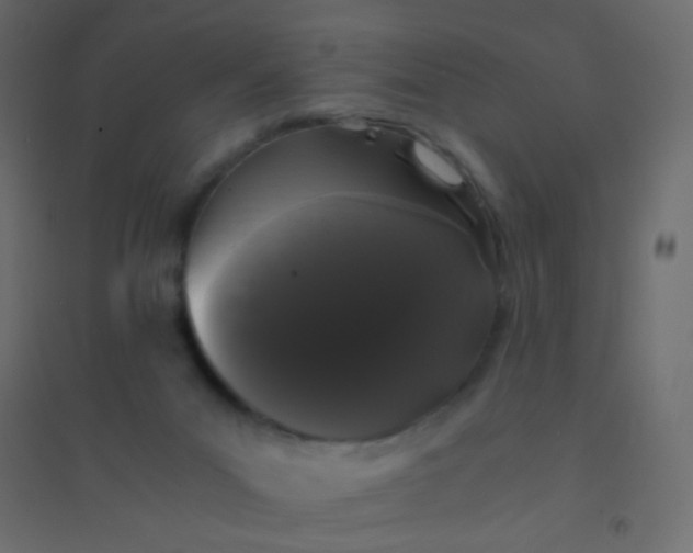 X0000094910023200712131502