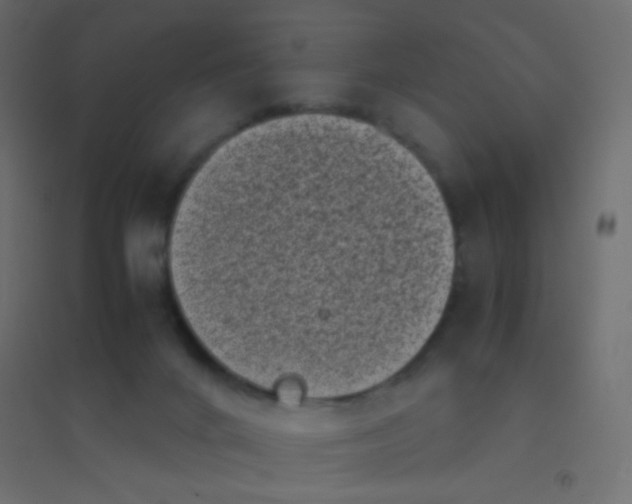 X0000094910024200712131502