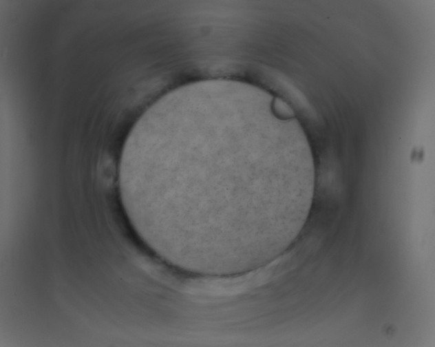 X0000094910025200712131502