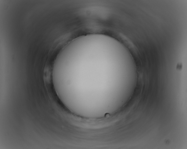 X0000094910026200712131502