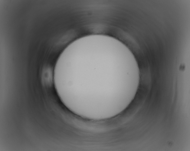 X0000094910028200712131502