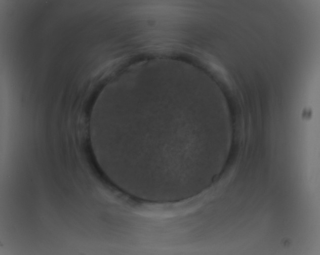 X0000094910029200712131502