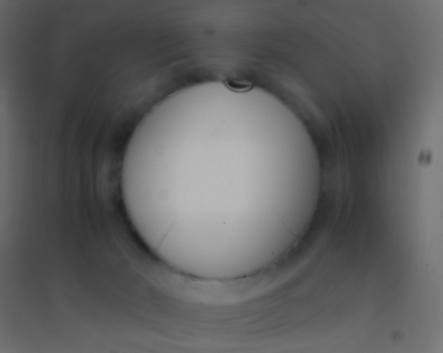 X0000094910030200712131502