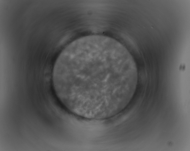X0000094910032200712131502