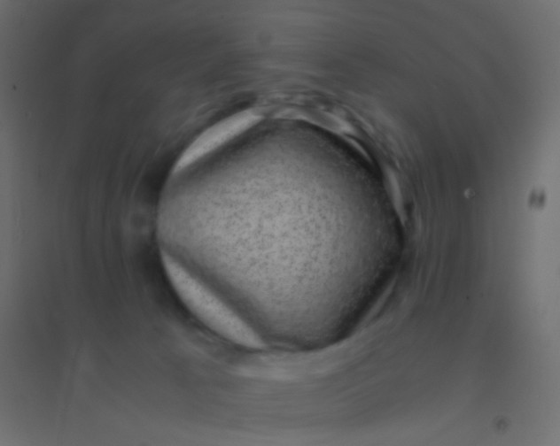 X0000094910033200712131502