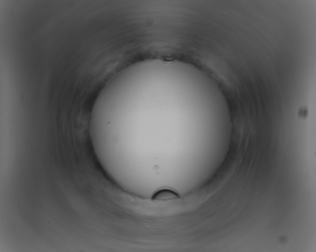 X0000094910034200712131502