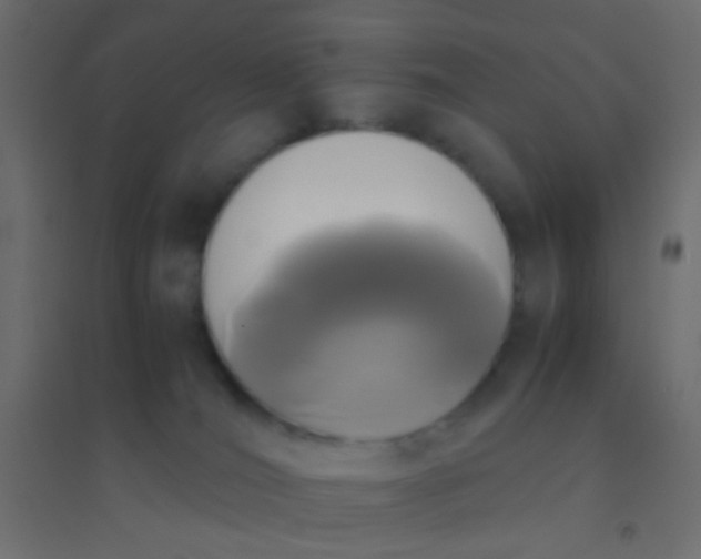 X0000094910036200712131502