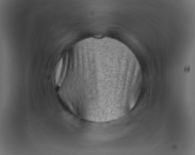 X0000094910037200712131502