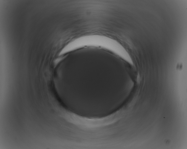 X0000094910039200712131502
