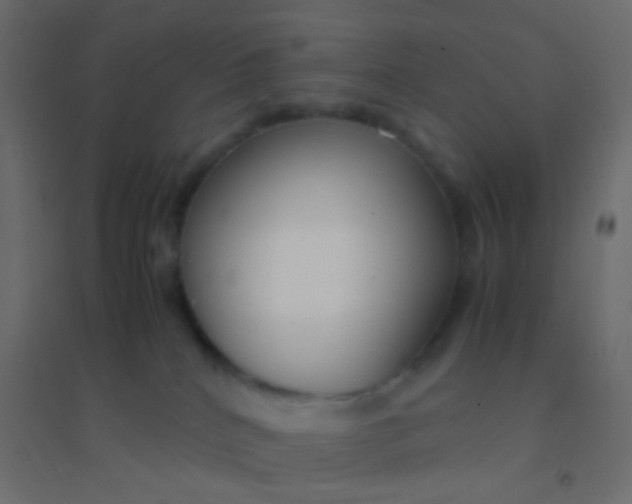 X0000094910040200712131502