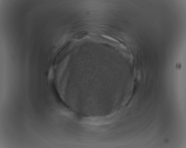 X0000094910041200712131502