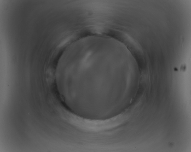 X0000094910043200712131502