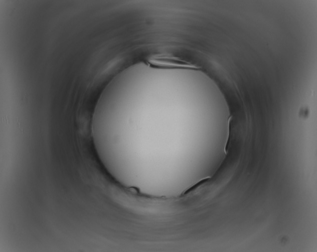 X0000094910044200712131502