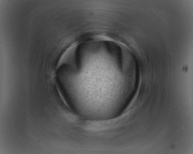 X0000094910045200712131502