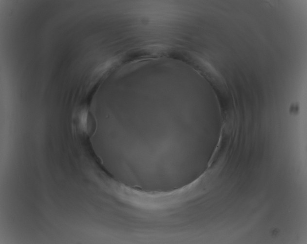 X0000094910047200712131502