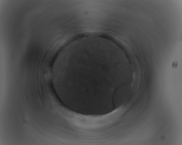 X0000094910048200712131502