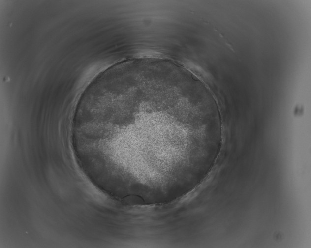 X0000094910049200712131501