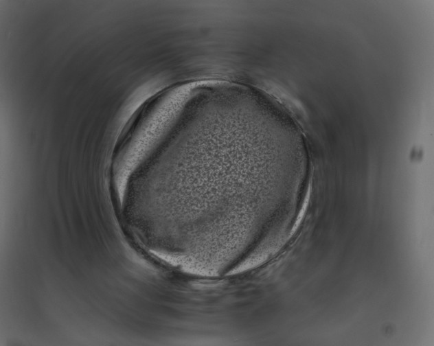 X0000094910051200712131501
