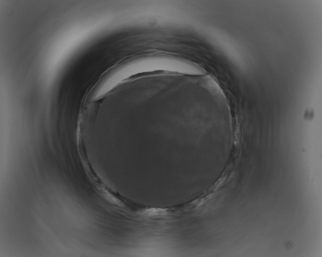 X0000094910052200712131501