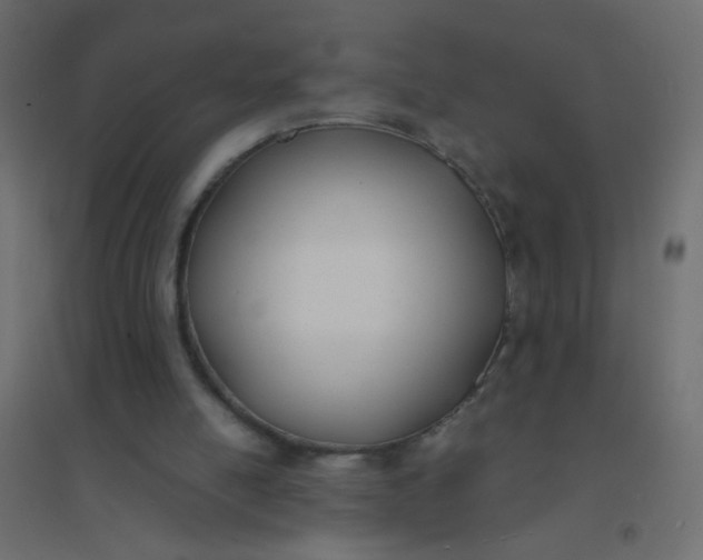X0000094910054200712131501