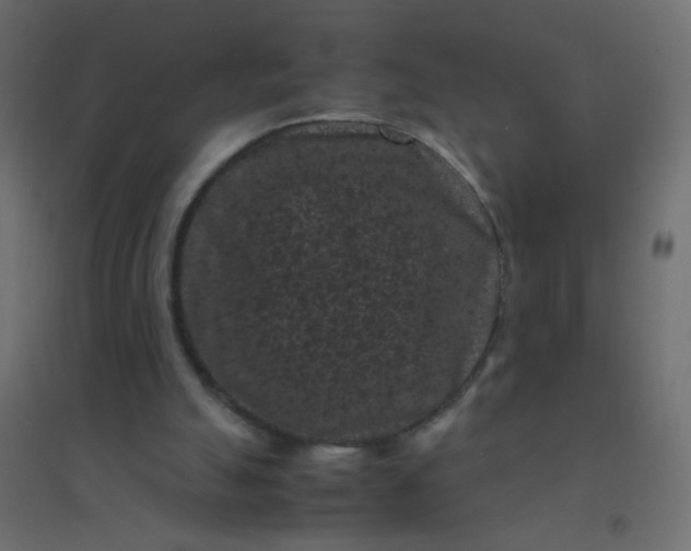 X0000094910055200712131502