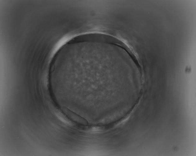 X0000094910056200712131502