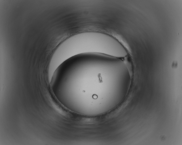 X0000094910057200712131502