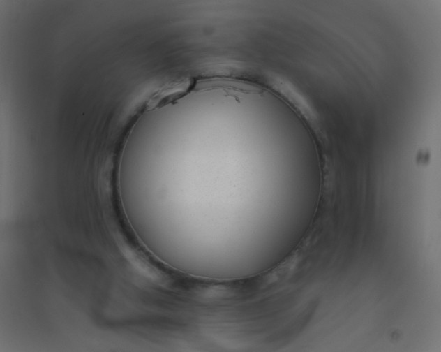 X0000094910058200712131502