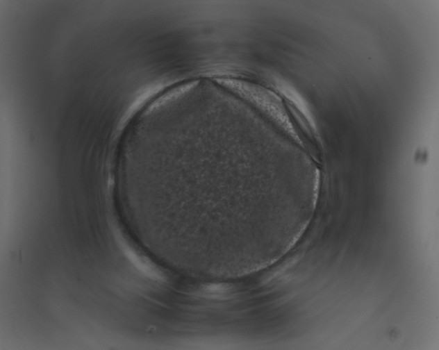 X0000094910059200712131502