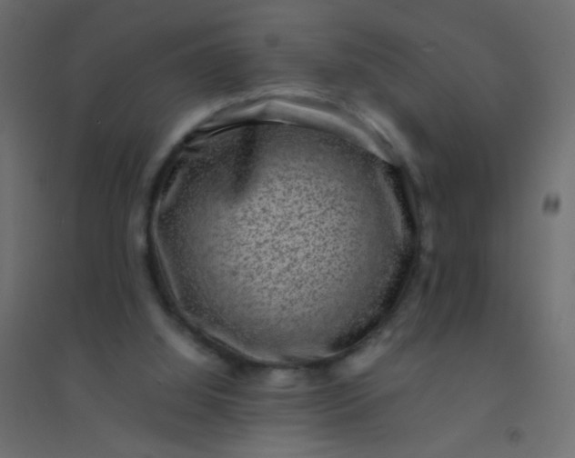 X0000094910060200712131502