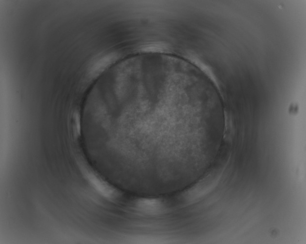 X0000094910061200712131502