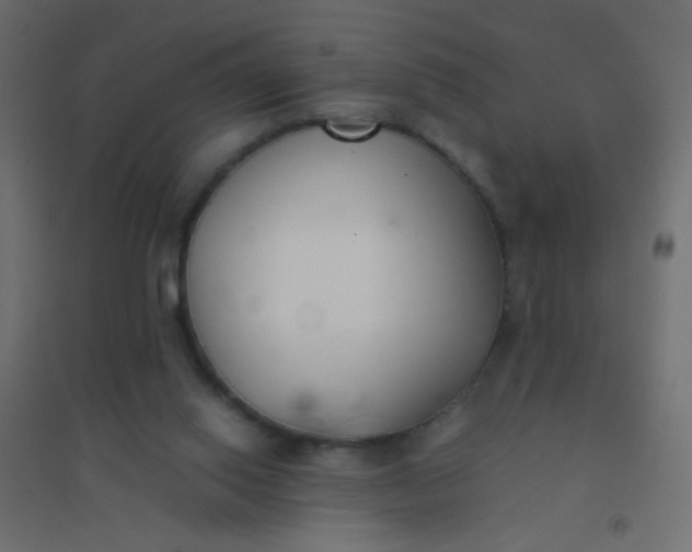 X0000094910062200712131502