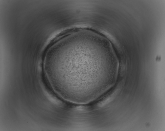 X0000094910064200712131502